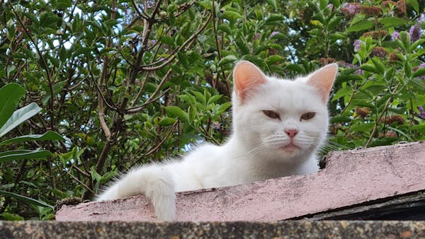 Óculos de Grau — armações para todos os estilos