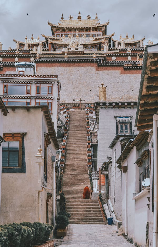 Lentes de Contato diárias e mensais